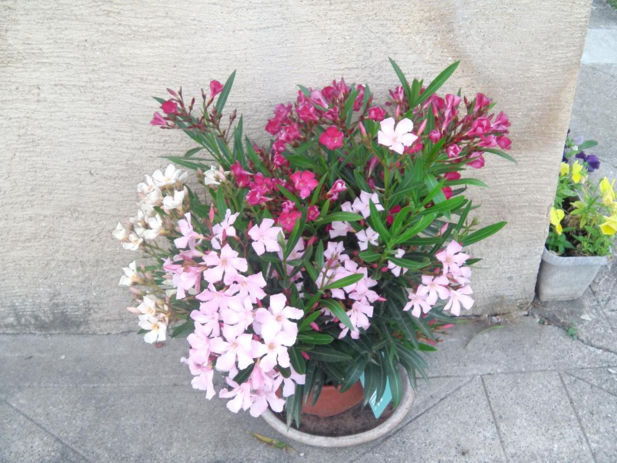 Aux Vieux Fours Bed & Breakfast Noaillac Bagian luar foto